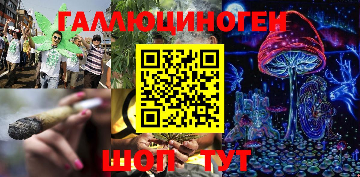 Галлюциногенные грибы Psilocybe  Вход с VPN  Шарыпово 